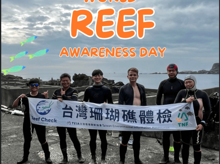 龍洞1.5號珊瑚礁體檢合照